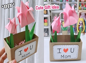 Làm chậu hoa Tulip tặng mẹ 